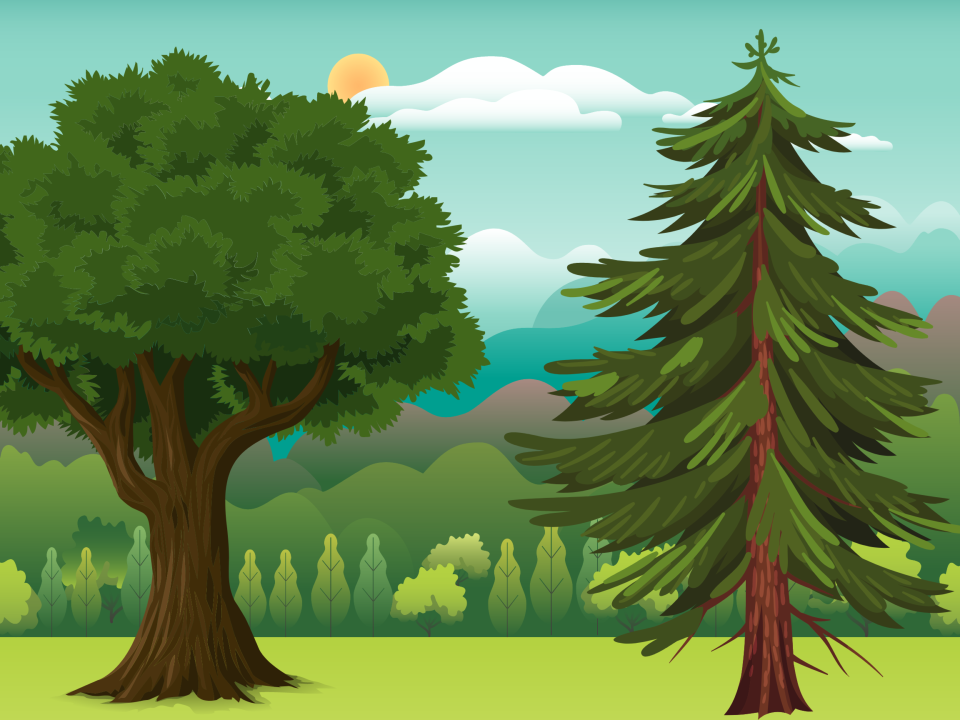 L’Arbre dans tous les sens