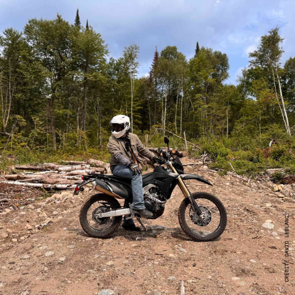 La forêt avec David Leblanc
