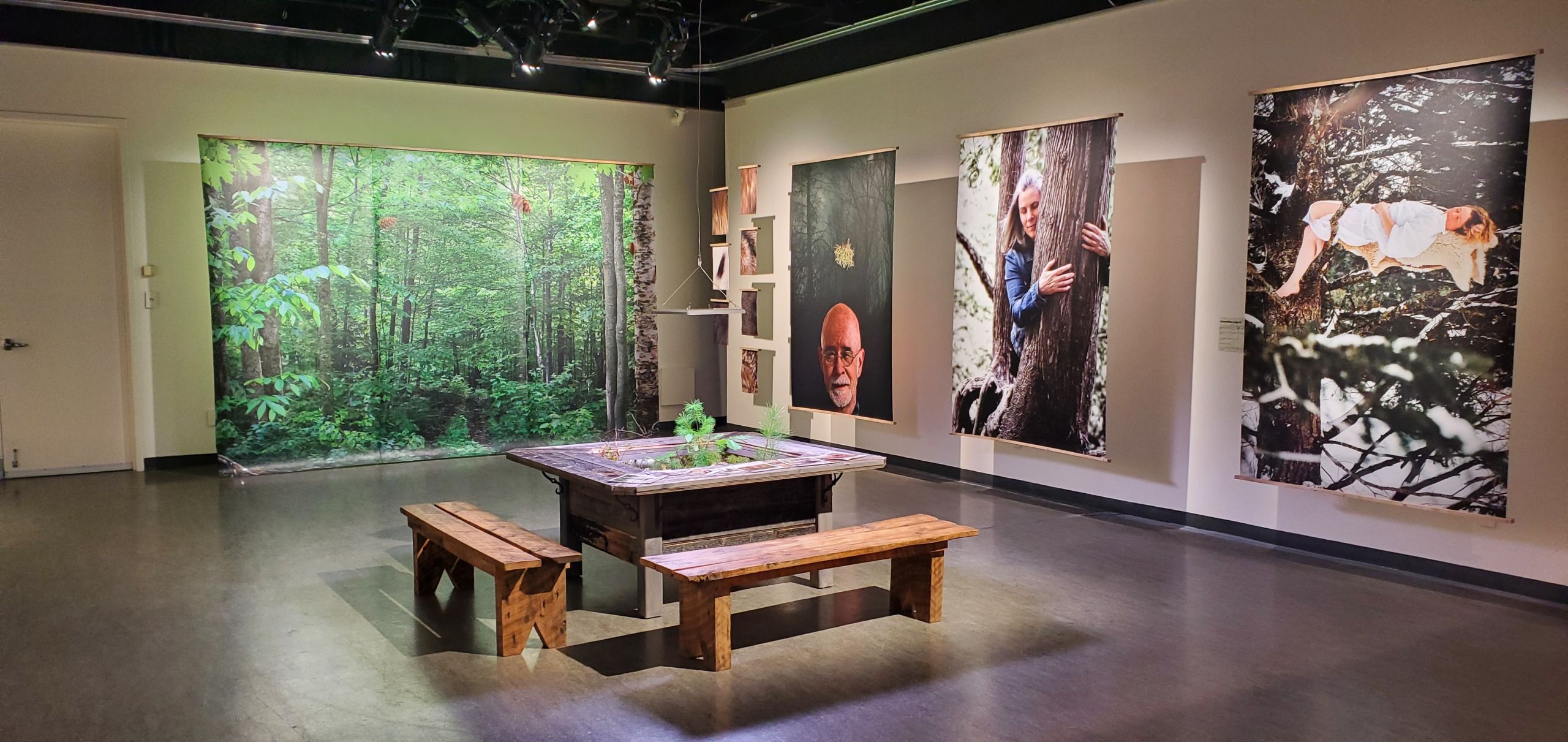 Salle d’exposition immersive évoquant la forêt, avec une grande table en bois au centre et des portraits de personnes en interaction avec les arbres accrochés aux murs.