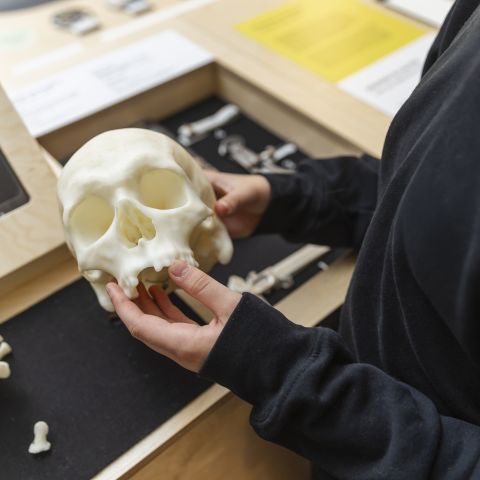Archéologie et enquêtes criminelles