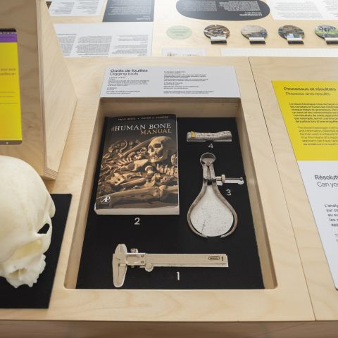Archéologie et enquêtes criminelles