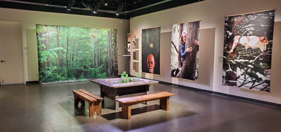Immersive exhibition room evoking the forest, with a large wooden table at the center and portraits of people interacting with trees displayed on the walls.