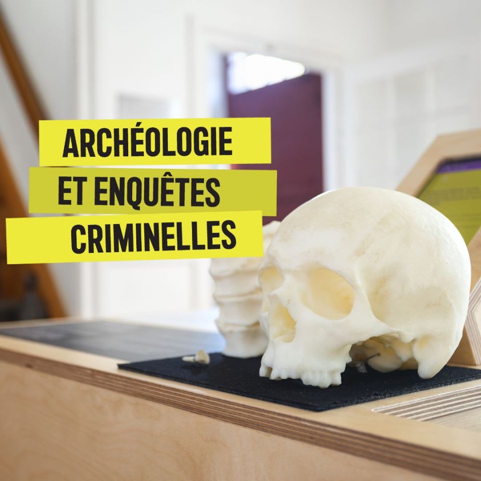 Archaeology and Criminal Investigations