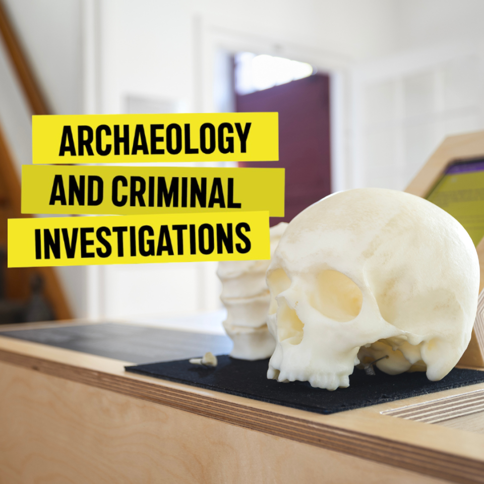 Archaeology and Criminal Investigations