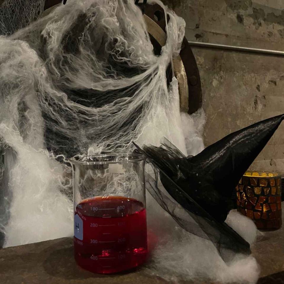 La malédiction de la CIP – Activité familiale d’Halloween